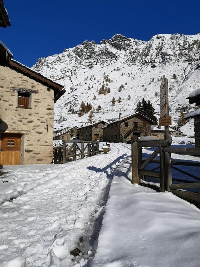 Royal Suite Totto'Netta 504 Passo del Tonale Exterior photo